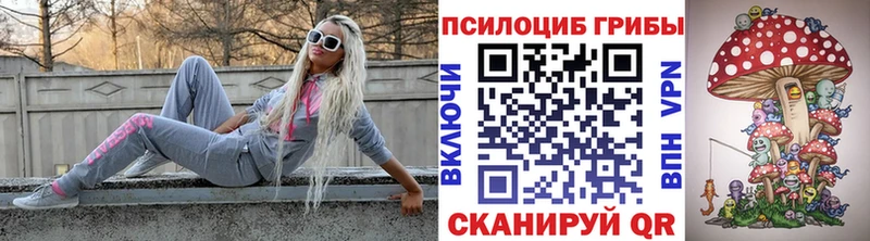 Псилоцибиновые грибы прущие грибы  Карачев 
